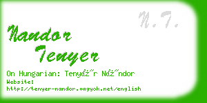 nandor tenyer business card